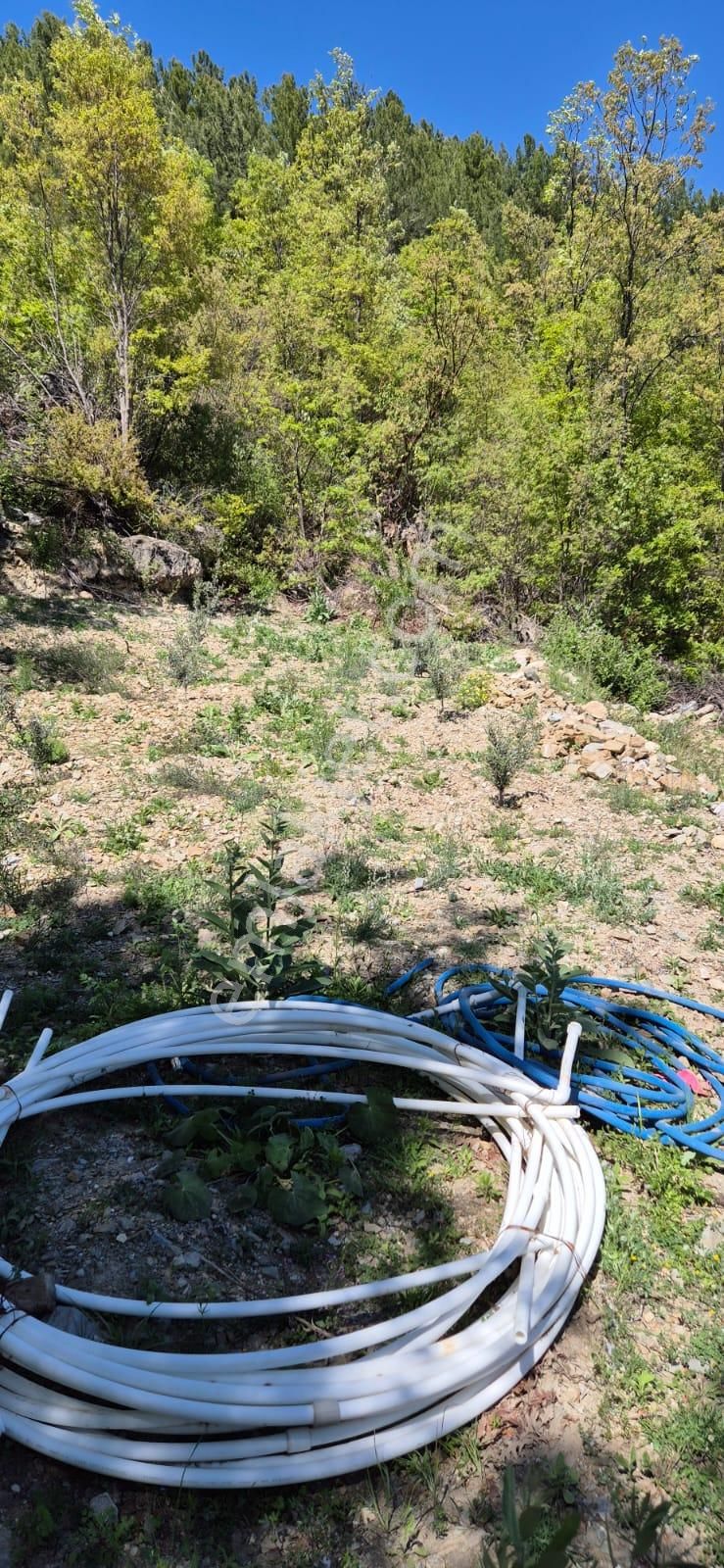 Alanya Akçatı Mah.bağbaşı Mevkii Satılık 1.305 M2 Tarla - Görsel 8