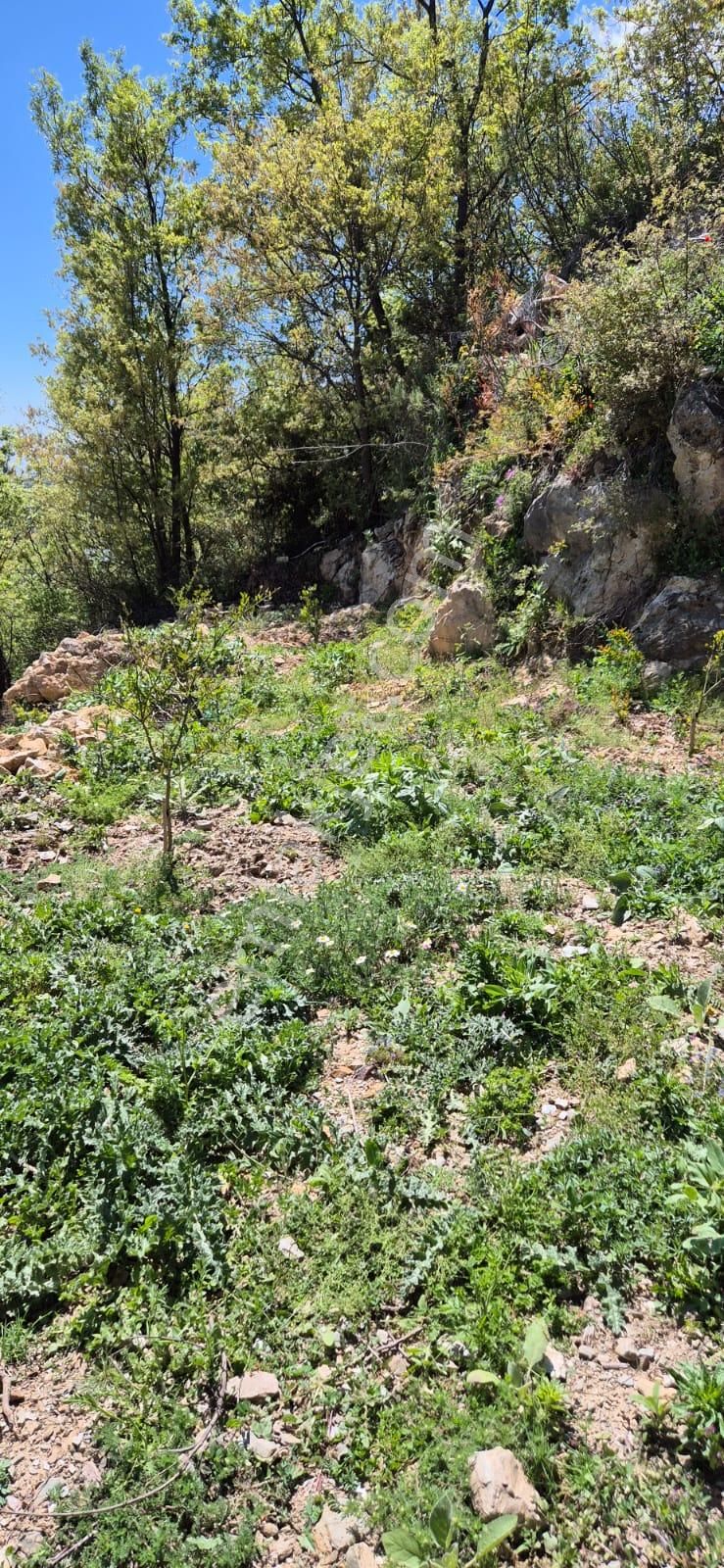 Alanya Akçatı Mah.bağbaşı Mevkii Satılık 1.305 M2 Tarla - Görsel 6