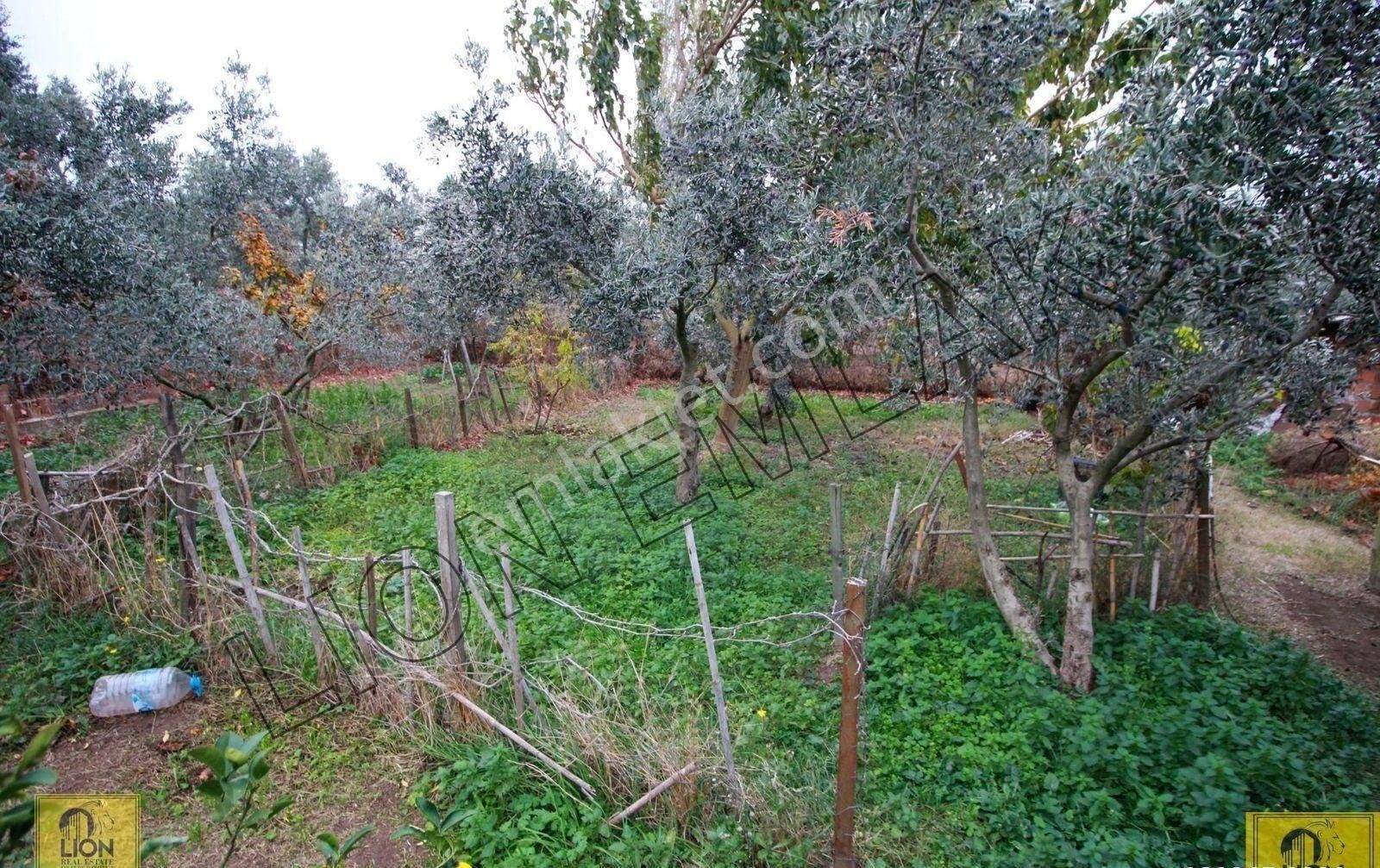 🟨⬛lıon Emlak'tan Erdek Yalı Mahallesinde 1468 M² Arazi İçerisinde Fırsat Müstakil Ev⬛🟨 - Görsel 10