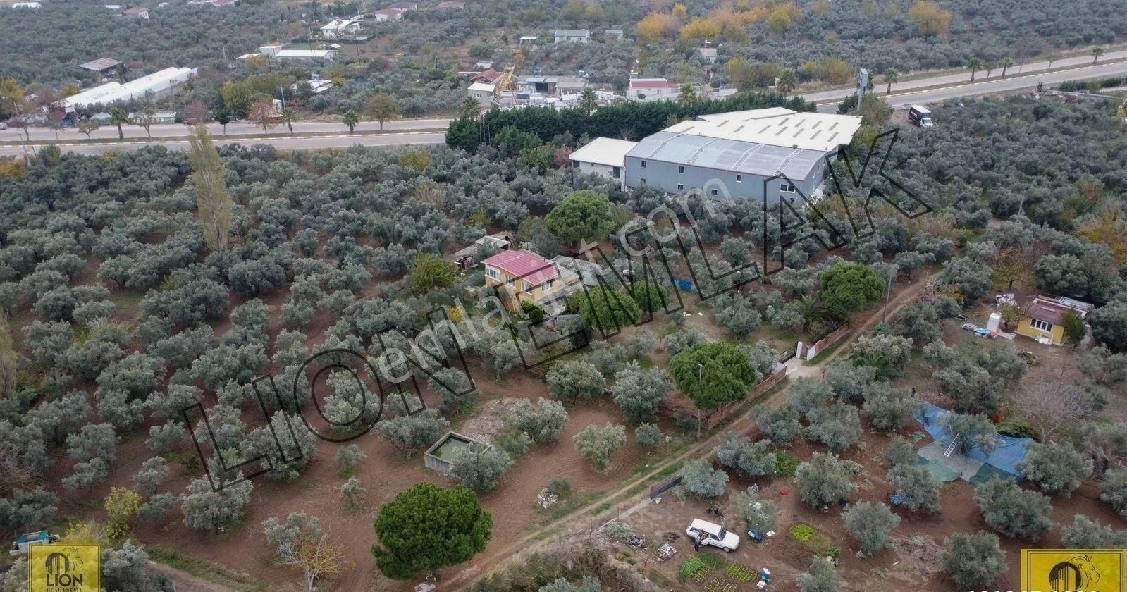 🟨⬛lıon Emlak'tan Erdek Yalı Mahallesinde 1468 M² Arazi İçerisinde Fırsat Müstakil Ev⬛🟨 - Görsel 11