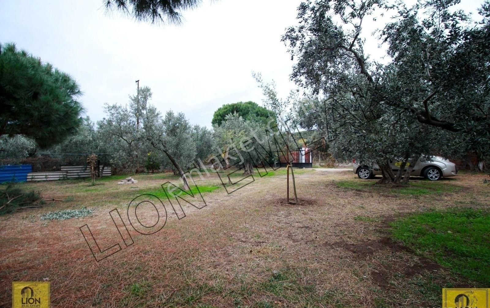 🟨⬛lıon Emlak'tan Erdek Yalı Mahallesinde 1468 M² Arazi İçerisinde Fırsat Müstakil Ev⬛🟨 - Görsel 9