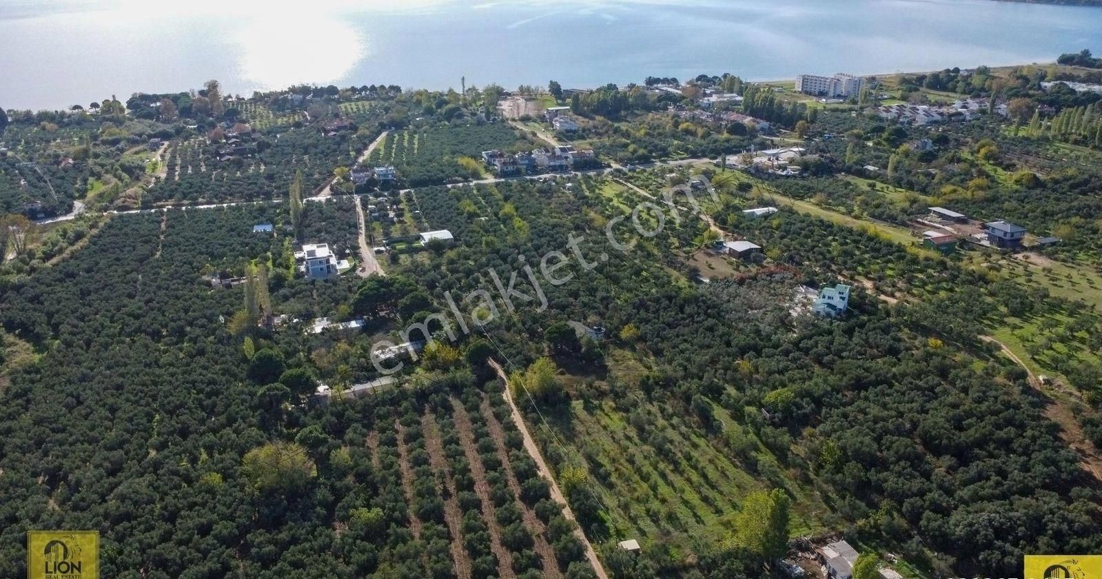 🟨⬛lıon Emlak'tan Erdek Yalı Mahallesi Kastri Mevkiinde Yola Cephe 4985m² Satılık Zeytinlik⬛🟨 - Görsel 8