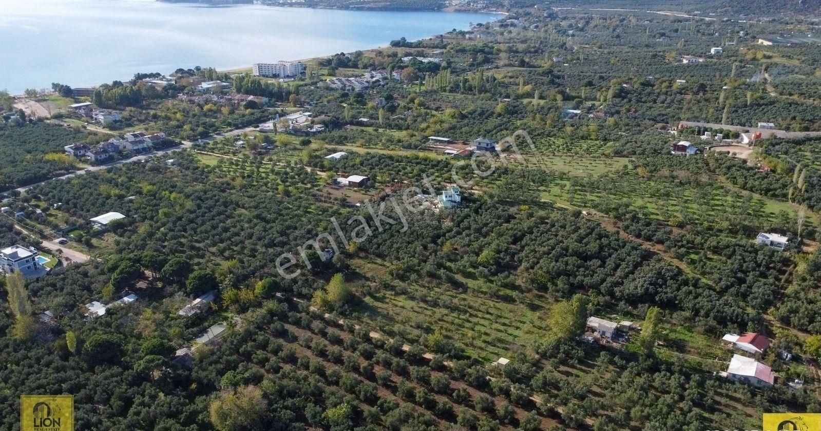 🟨⬛lıon Emlak'tan Erdek Yalı Mahallesi Kastri Mevkiinde Yola Cephe 4985m² Satılık Zeytinlik⬛🟨 - Görsel 2