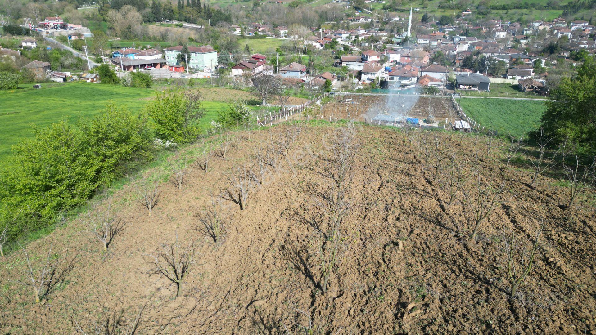 Kocaeli Karamürsel Yalakdere 2301 M2 Satılık Tarla - Görsel 9