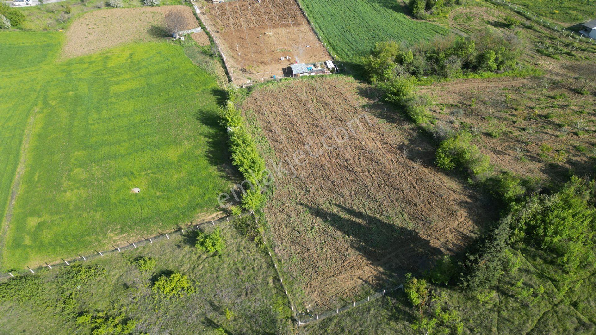 Kocaeli Karamürsel Yalakdere 2301 M2 Satılık Tarla - Görsel 4