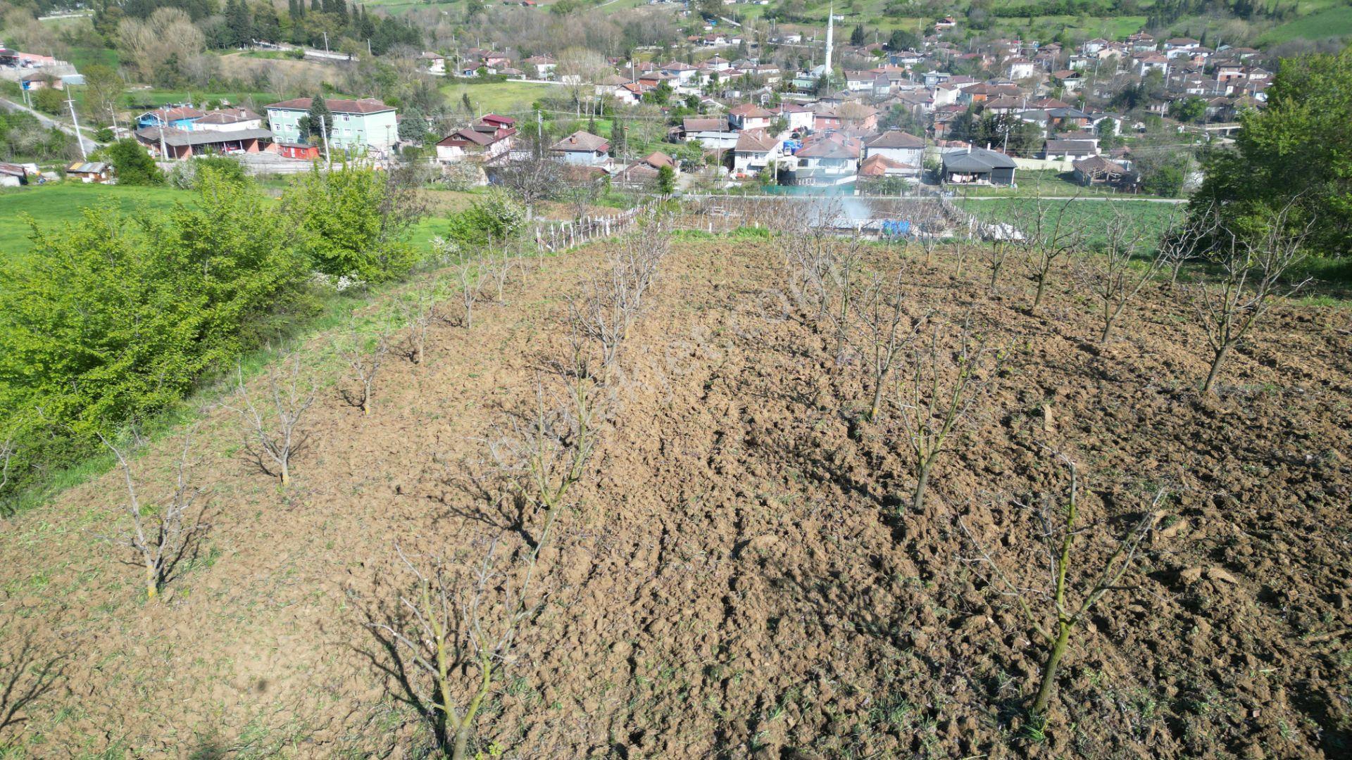 Kocaeli Karamürsel Yalakdere 2301 M2 Satılık Tarla - Görsel 8