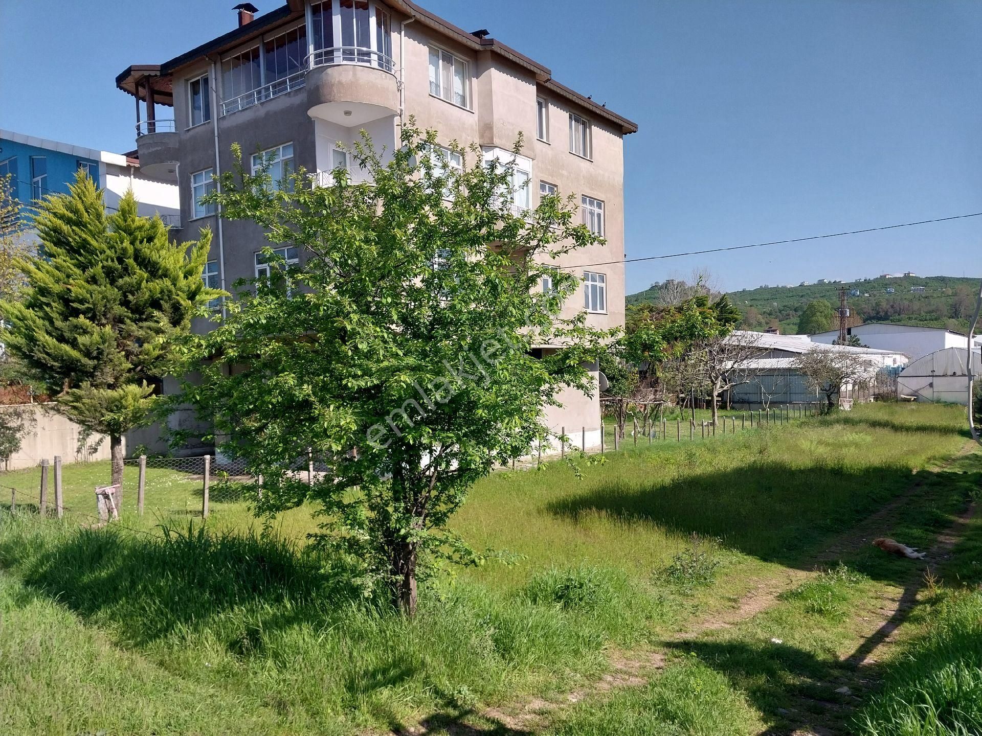 Fstsa Ordu Sahil Yolu Üzerinde Asfalta Sıfır Yatırımlık Arsa - Görsel 6