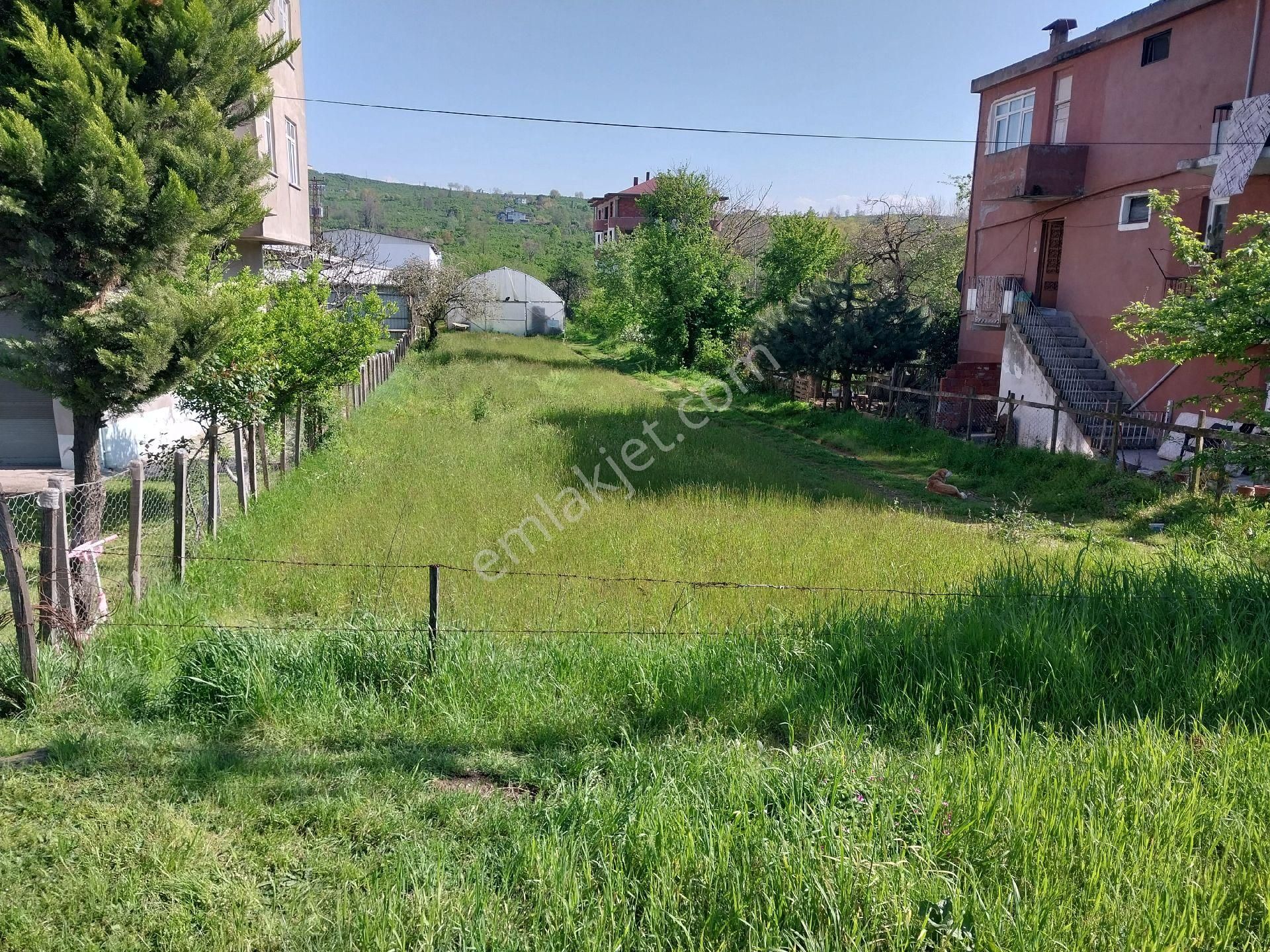 Fstsa Ordu Sahil Yolu Üzerinde Asfalta Sıfır Yatırımlık Arsa - Görsel 12