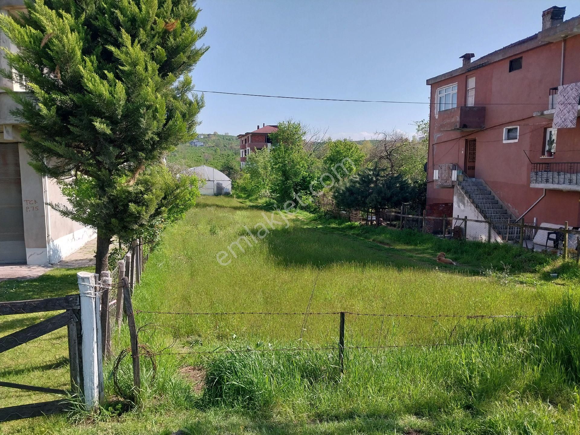 Fstsa Ordu Sahil Yolu Üzerinde Asfalta Sıfır Yatırımlık Arsa - Görsel 16