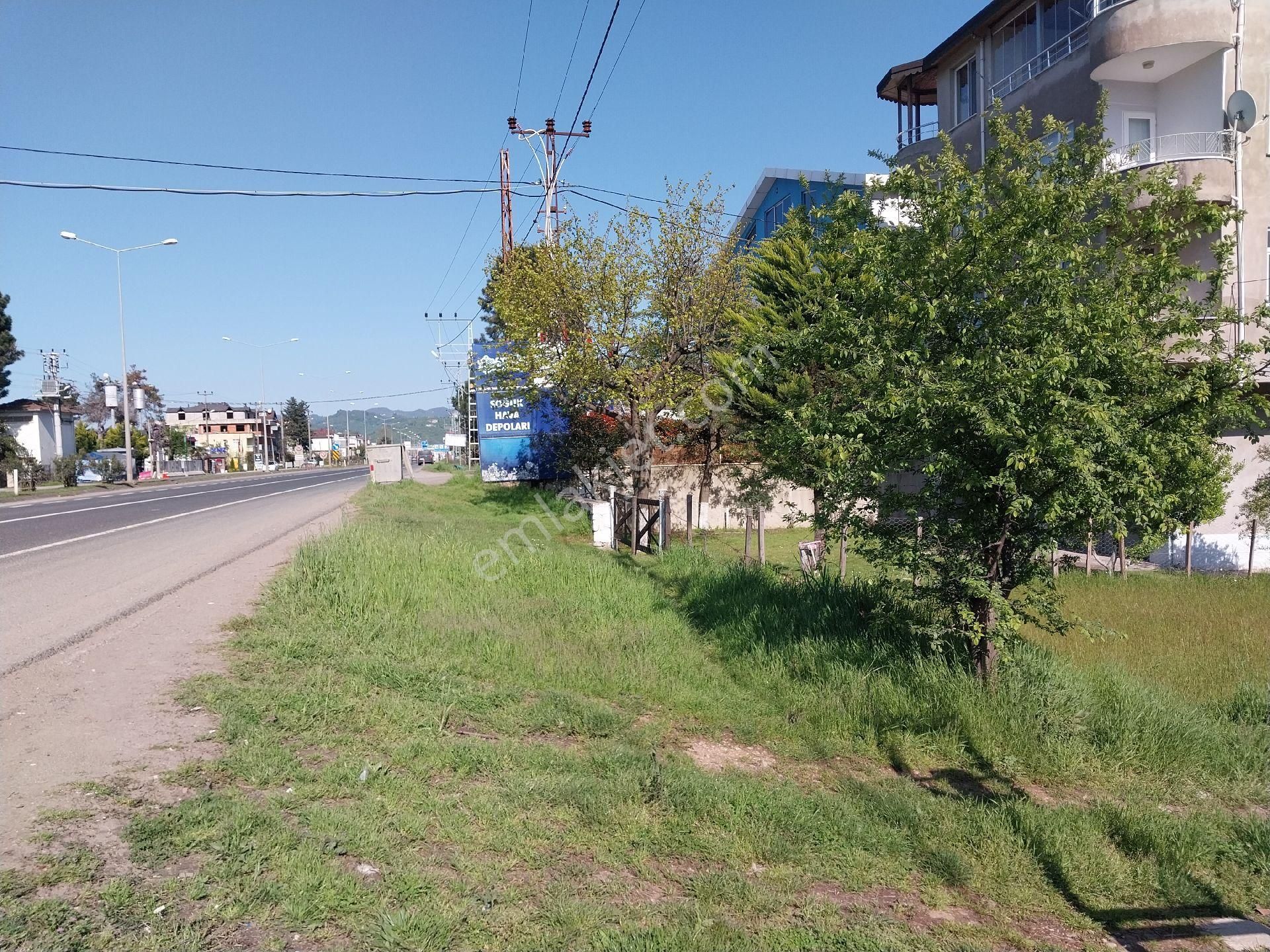 Fstsa Ordu Sahil Yolu Üzerinde Asfalta Sıfır Yatırımlık Arsa - Görsel 2