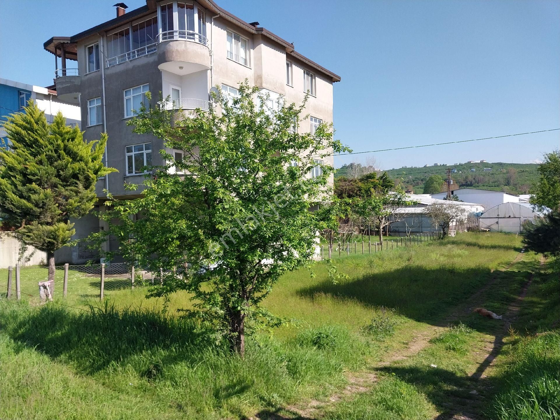 Fstsa Ordu Sahil Yolu Üzerinde Asfalta Sıfır Yatırımlık Arsa - Görsel 10