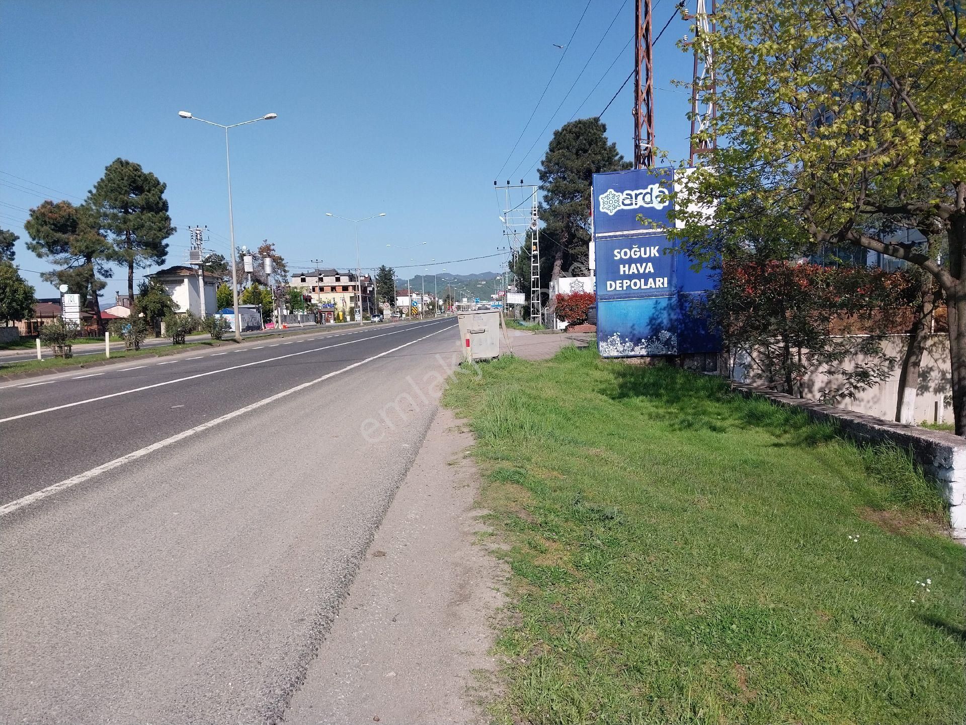 Fstsa Ordu Sahil Yolu Üzerinde Asfalta Sıfır Yatırımlık Arsa - Görsel 3