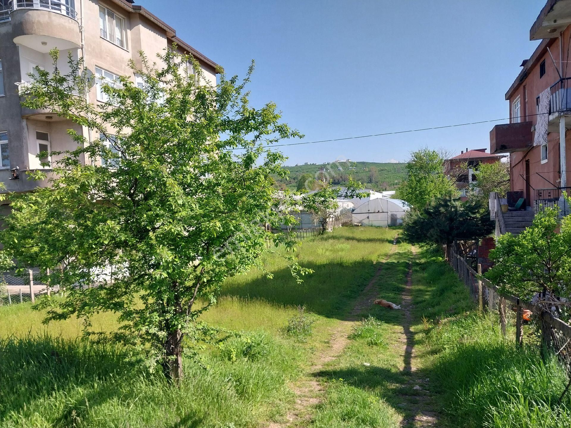 Fstsa Ordu Sahil Yolu Üzerinde Asfalta Sıfır Yatırımlık Arsa - Görsel 9
