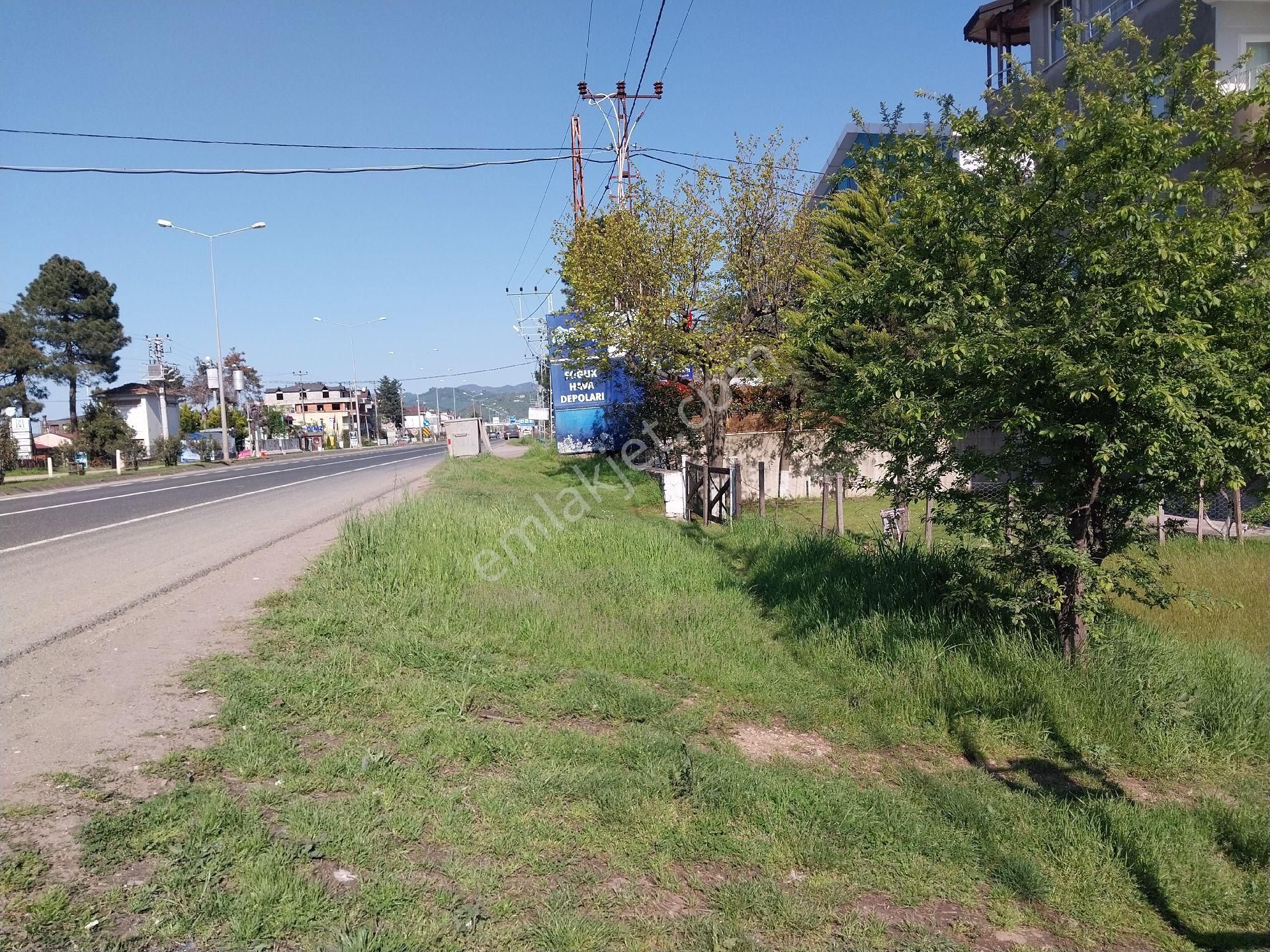 Fstsa Ordu Sahil Yolu Üzerinde Asfalta Sıfır Yatırımlık Arsa - Görsel 7