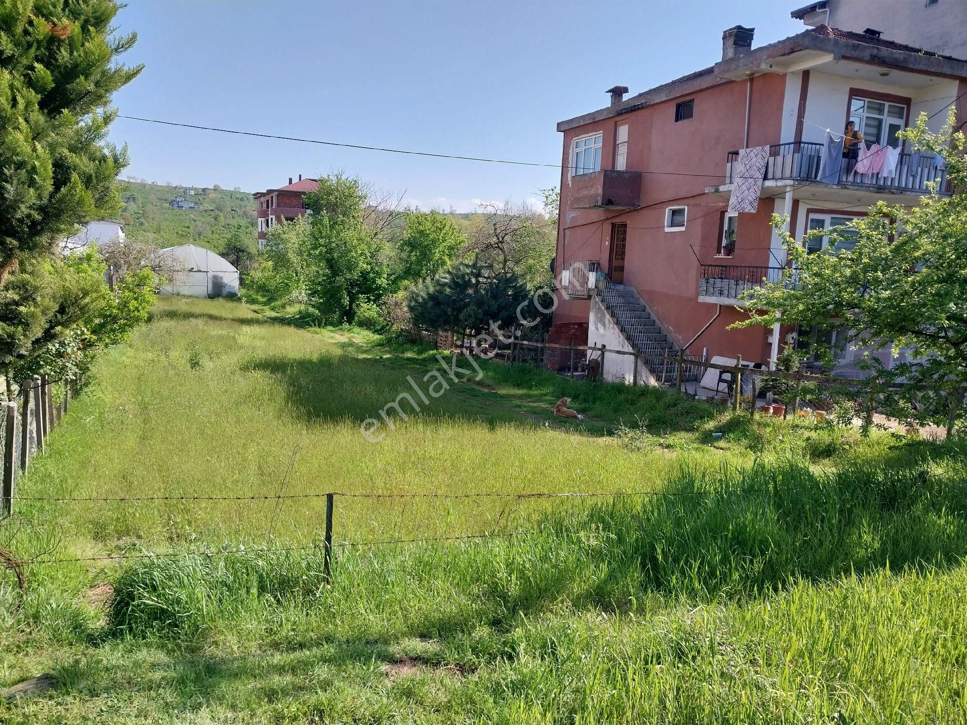 Fstsa Ordu Sahil Yolu Üzerinde Asfalta Sıfır Yatırımlık Arsa - Görsel 5