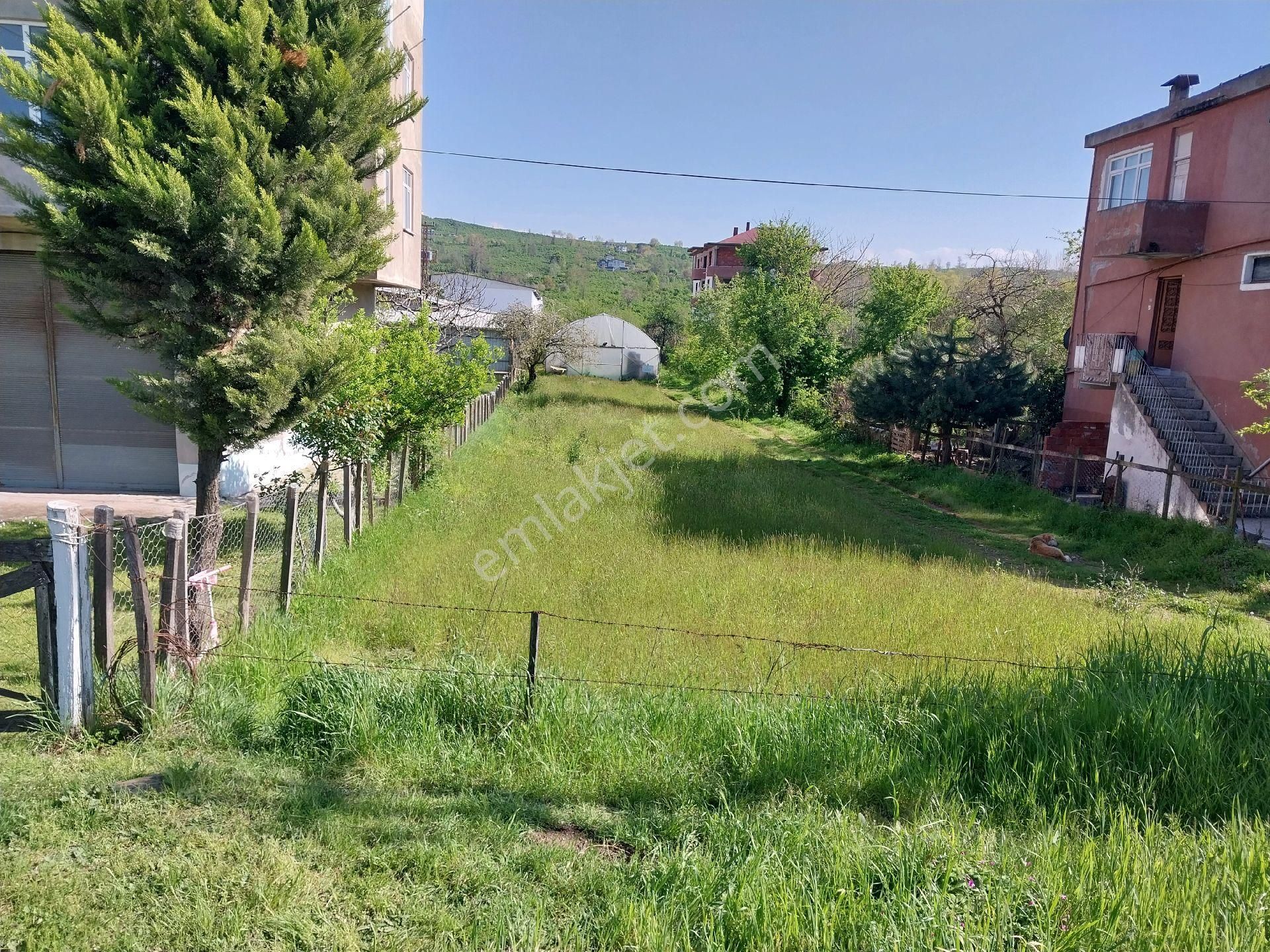 Fstsa Ordu Sahil Yolu Üzerinde Asfalta Sıfır Yatırımlık Arsa - Görsel 13