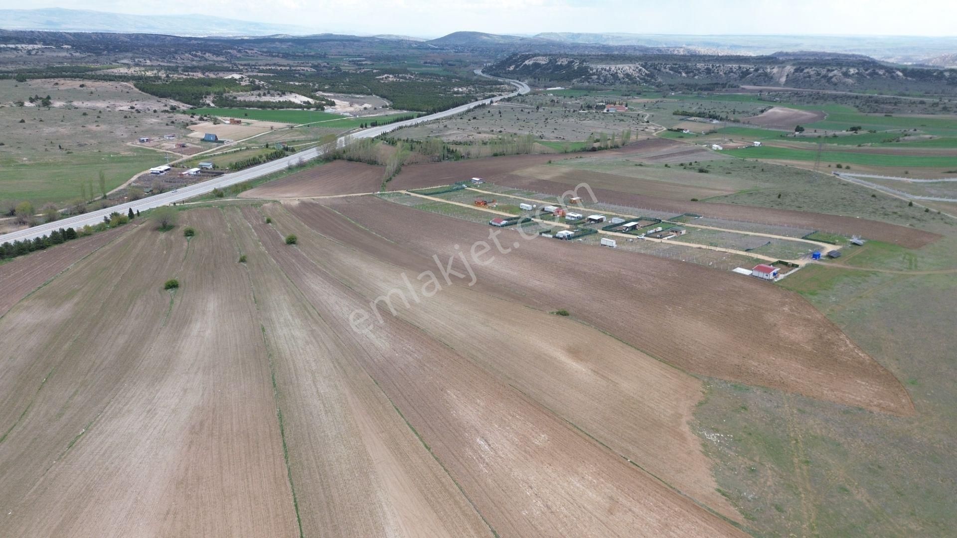 Nova'dan Takmak'ta Asfalta 50 Mt 13 Dönüm Satılık Tarla