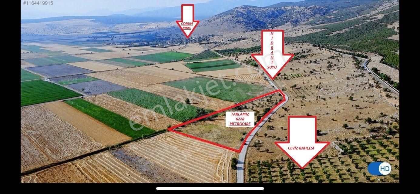 Acıpayam Corum Da Asfalt Yol Kenarı Tarla - Görsel 11
