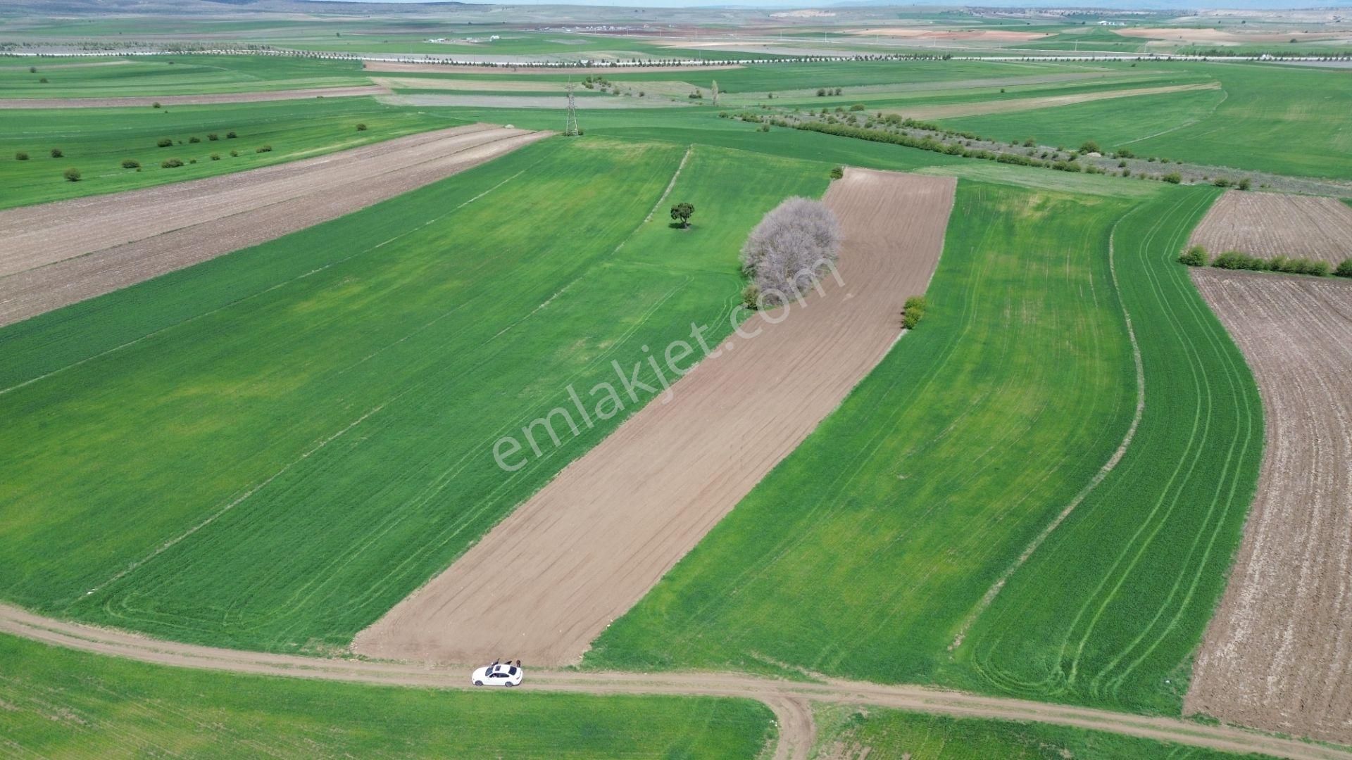Nova'dan Takmak'ta Yola Cepheli 10.706 M² Satılık Tarla