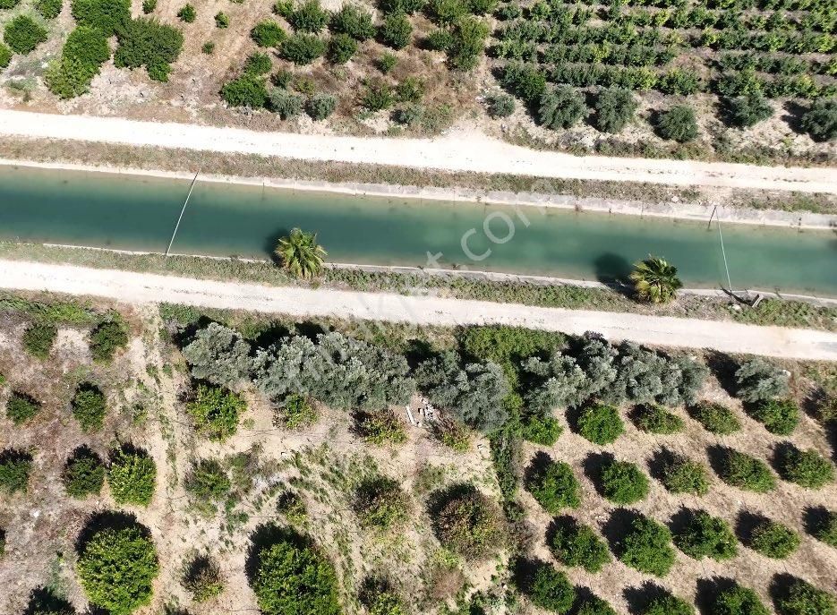 Demirhisar-puğ Köyü Arasında 5 Dönüm Satılık Limon Bahçesi Tek Tapu