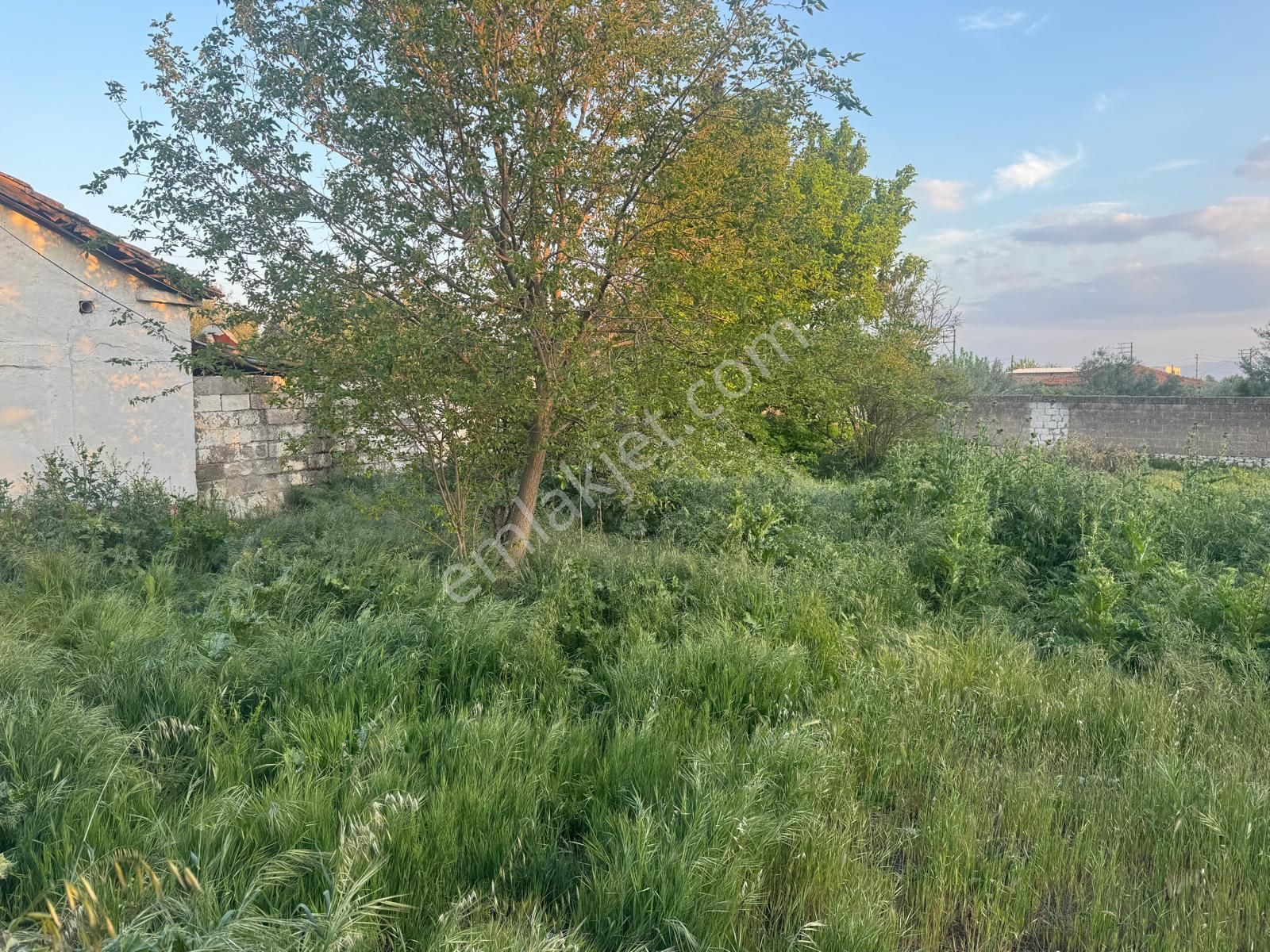 Kayalıoğlu Mah 681 M2 Köşe Satılık Arsa (emin'den) - Görsel 5
