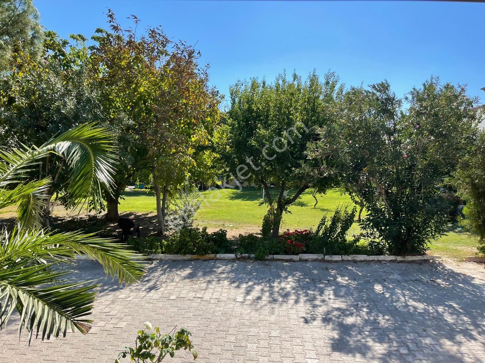 İzmir Seferihisar Ürkmez Doğanbeyede Deniz Tarafında 3+1 Yzlık Villa - Görsel 7