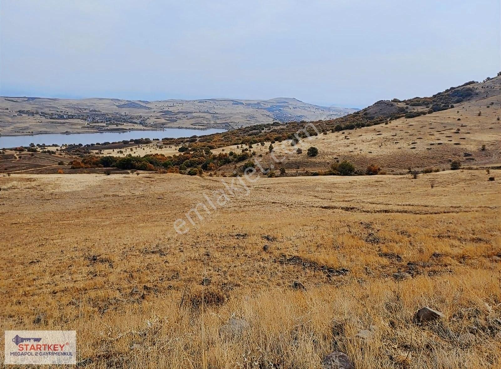 Tunceli Pertek Kacarlar Köyünde Satılık Uygun Tarla