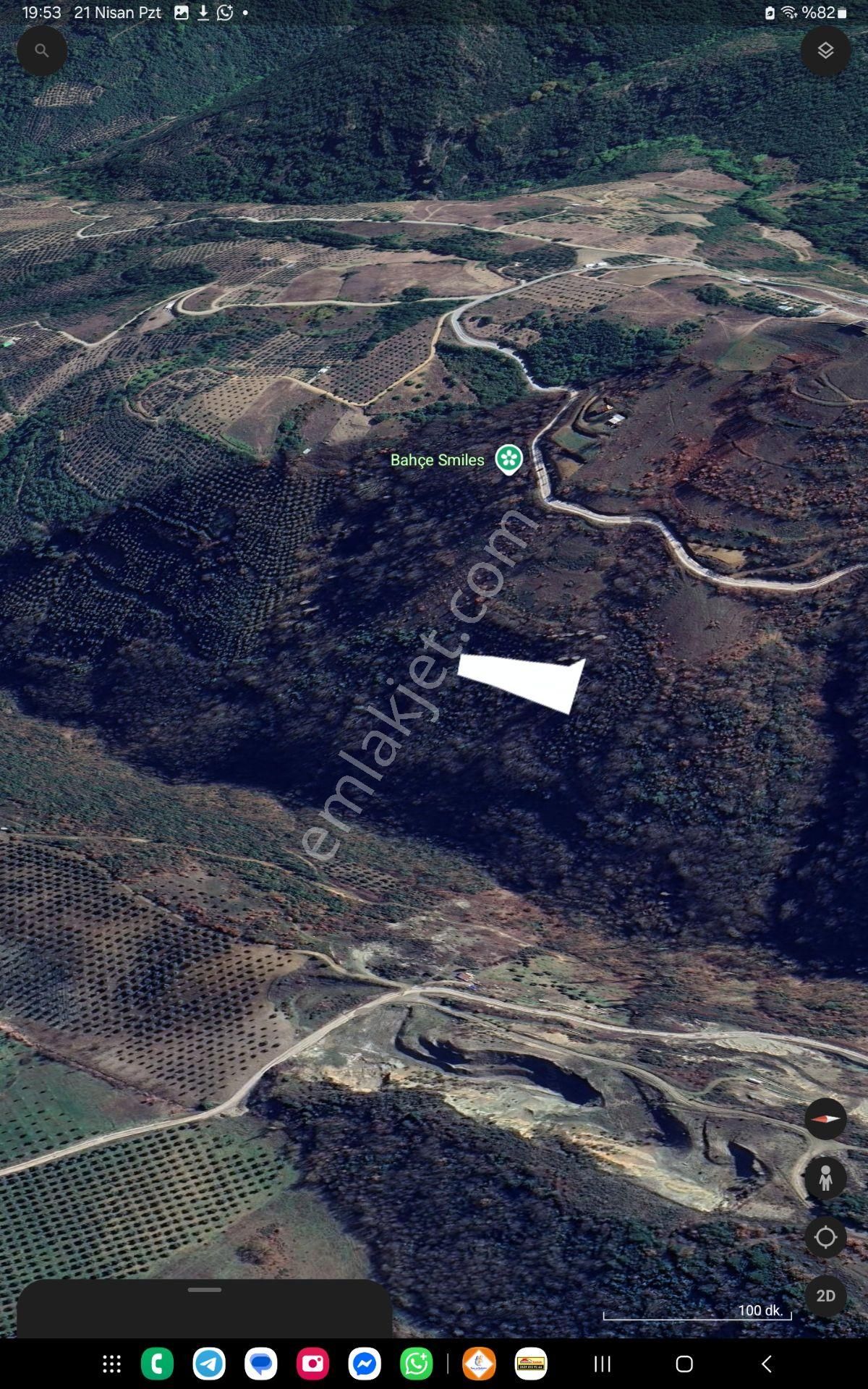 Bursa Gemlik Güvenlide Şok Acil Satılık 2100m2 Zeytinli Tarla - Görsel 12