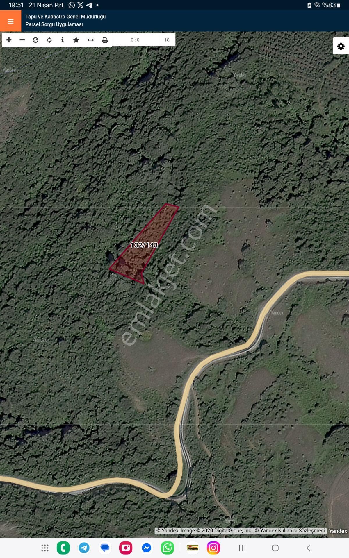 Bursa Gemlik Güvenlide Şok Acil Satılık 2100m2 Zeytinli Tarla - Görsel 5