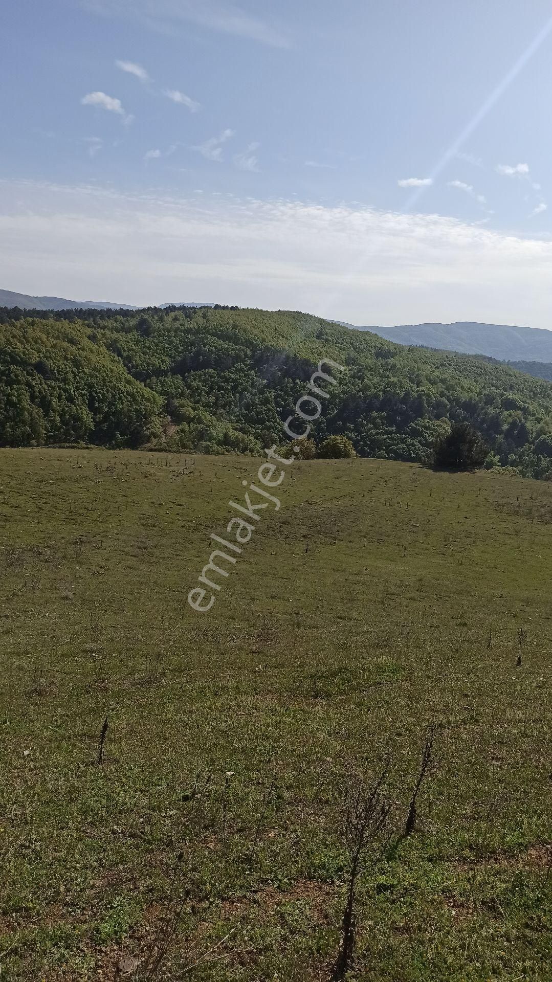 Nilvest'ten Yarısı Peşin Kalani Vadeli Hobi Bahceleri - Görsel 4