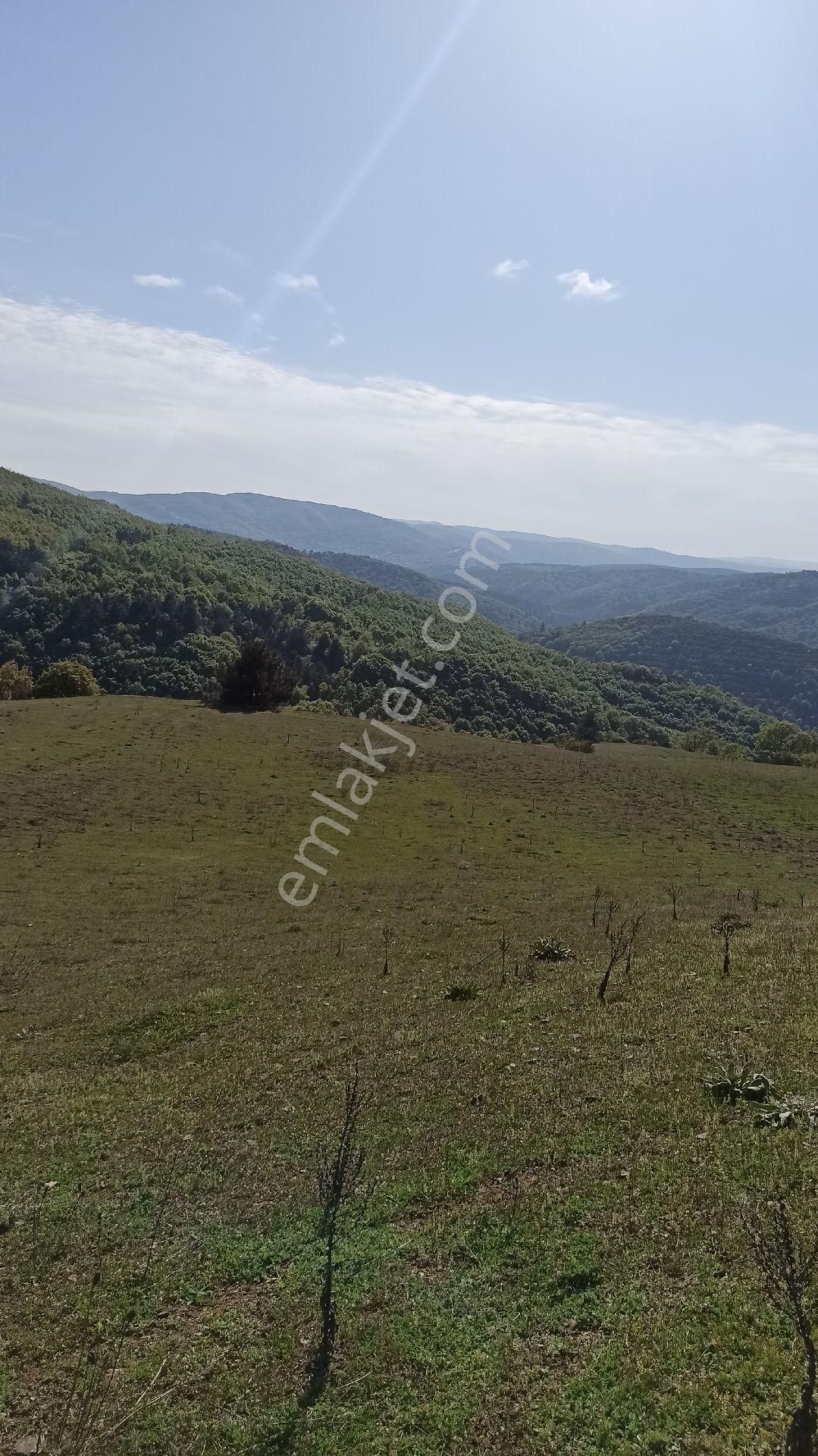 Nilvest'ten Yarısı Peşin Kalani Vadeli Hobi Bahceleri - Görsel 3