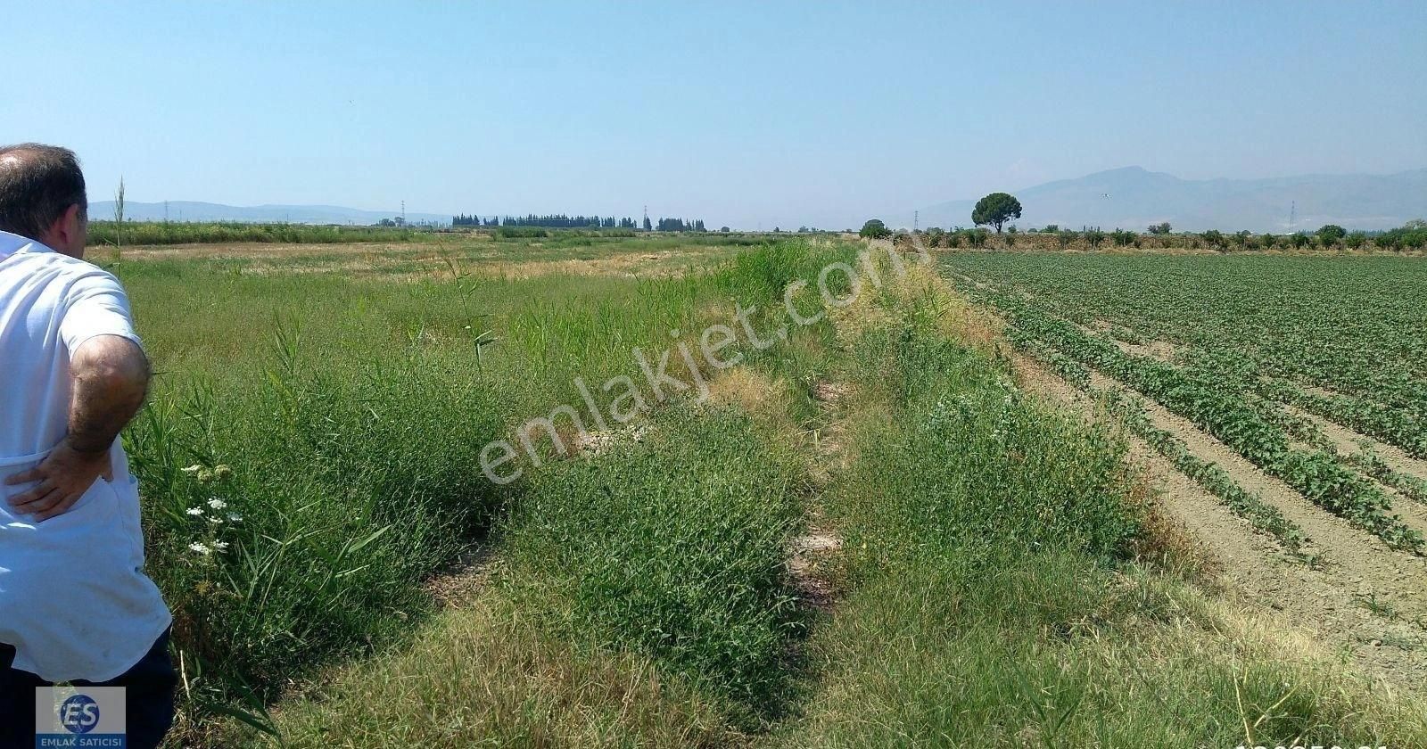 Kiralık Tarla Artezyen Var Arayol Asfalta Sıfır