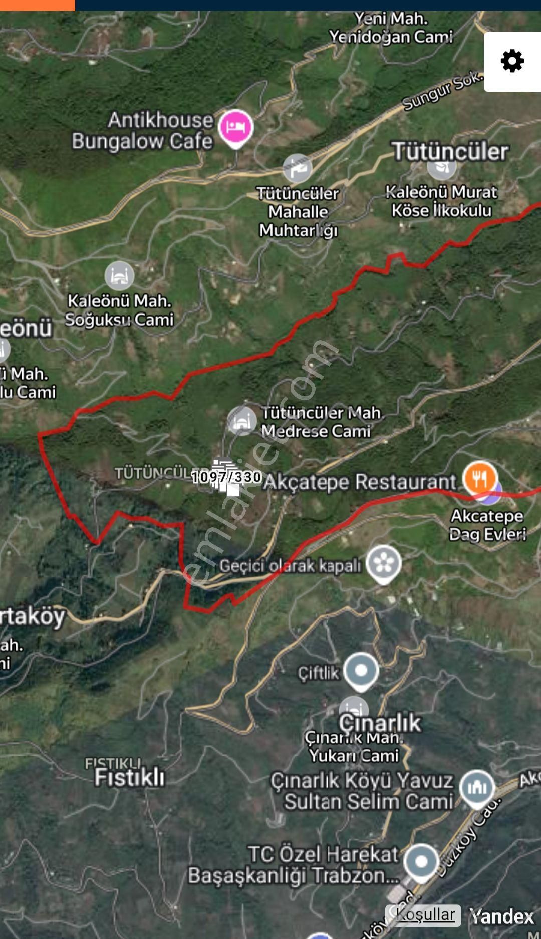 Akçaabat Tütüncüler’ De Satılık 6601 M2 Yatırımlık Fındık Arazisi - Görsel 24