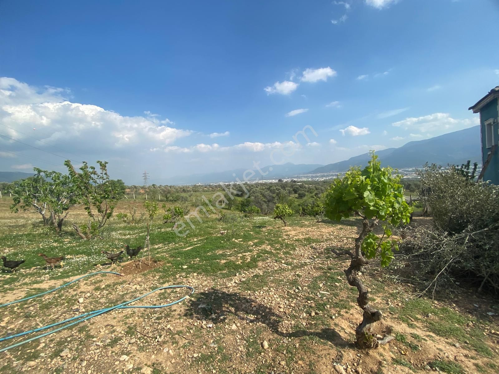 Kemalpaşa Ulucakta Satılık Arsa - Görsel 15