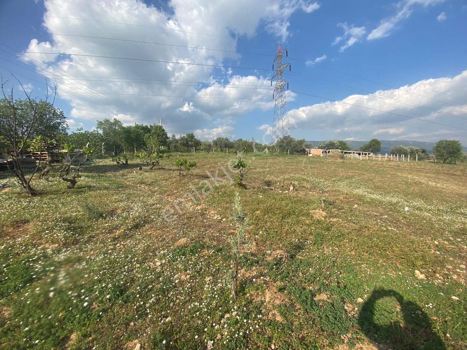 Kemalpaşa Ulucakta Satılık Arsa - Görsel 25