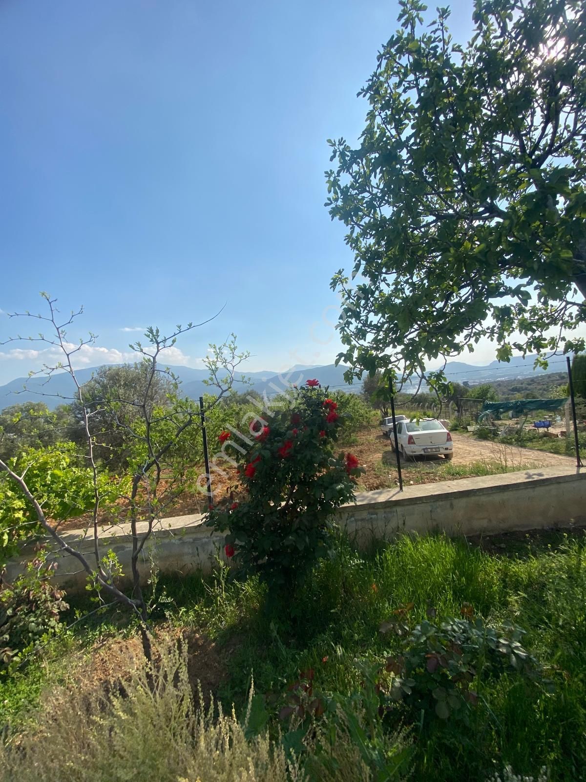 Kemalpaşa Ulucakta Satılık Arsa - Görsel 20