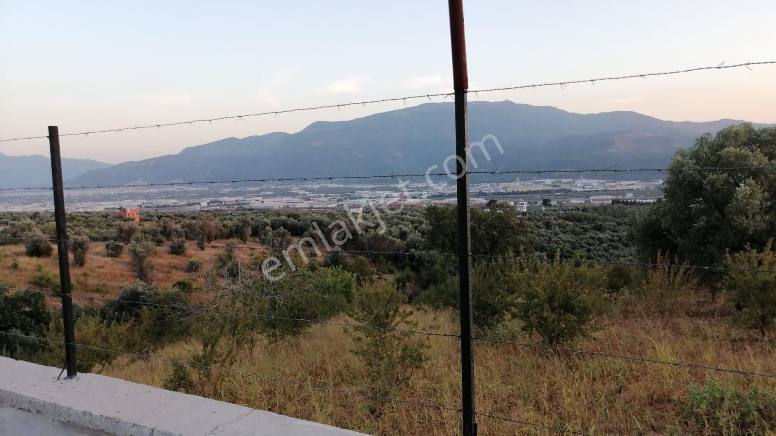 Kemalpaşa Ulucakta Satılık Arsa - Görsel 6
