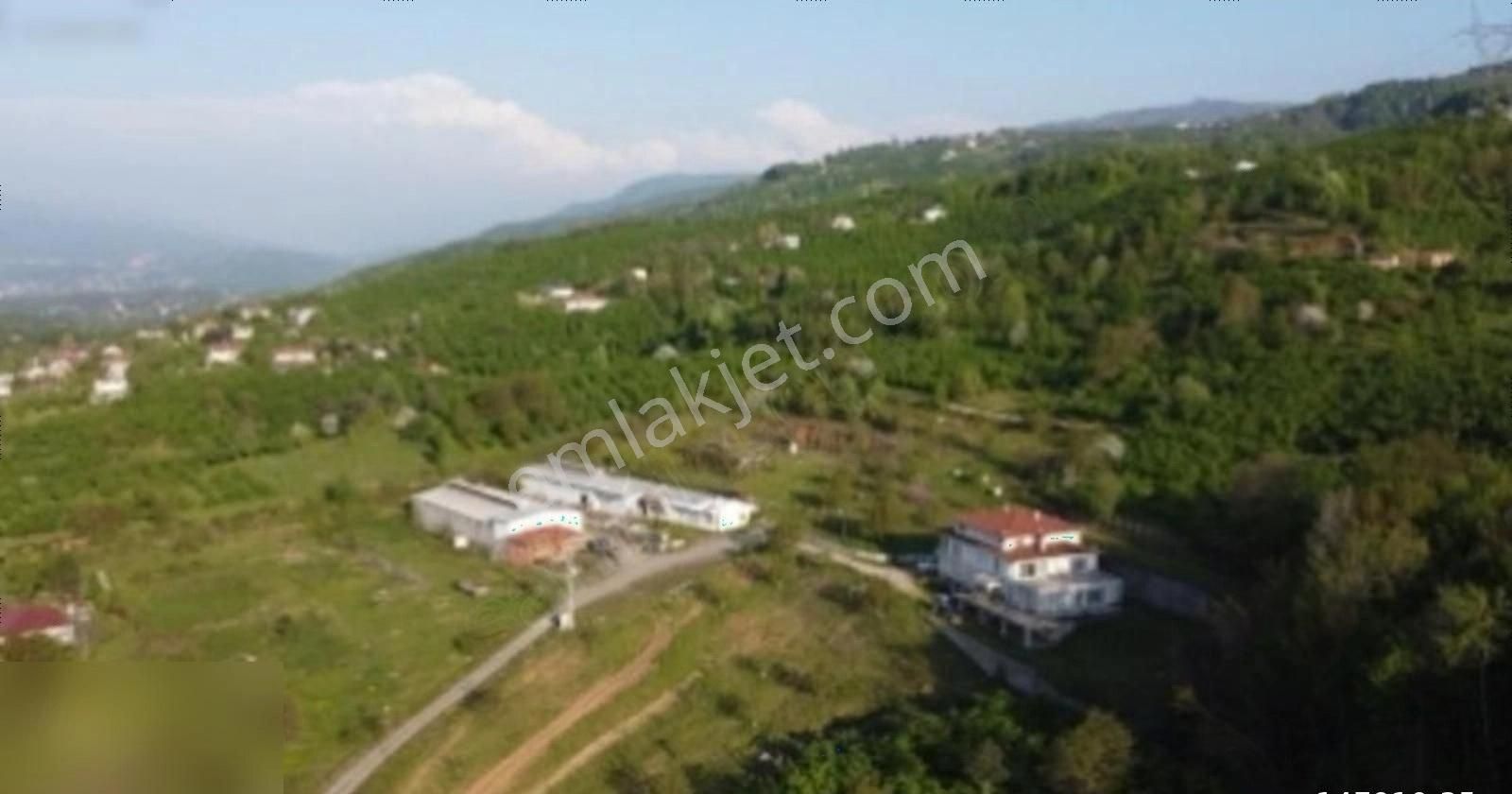 Sakarya Karapürçek'te Tarıma Veya Hayvancılığa Uygun Çiftlik - Görsel 29