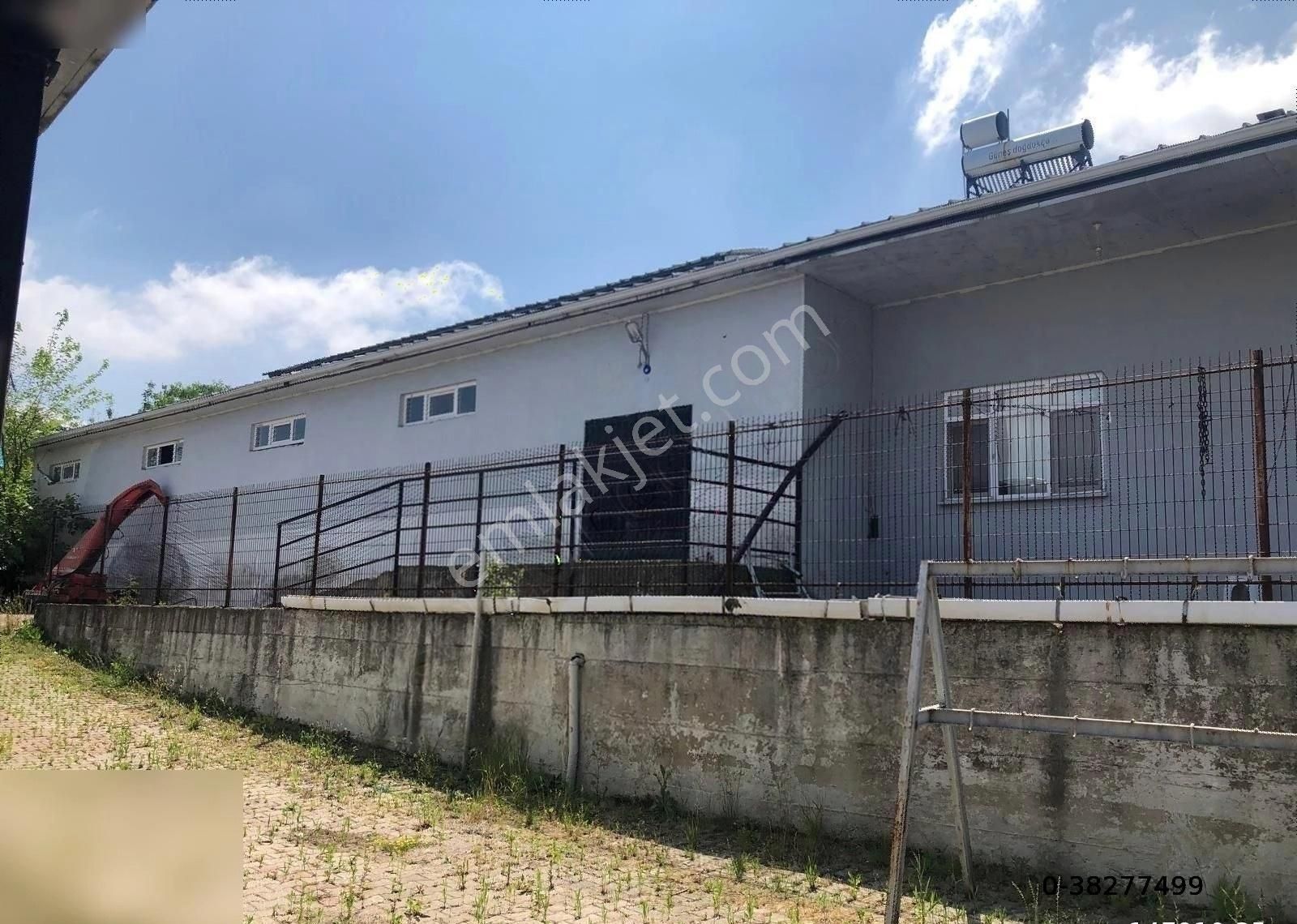 Sakarya Karapürçek'te Tarıma Veya Hayvancılığa Uygun Çiftlik - Görsel 6