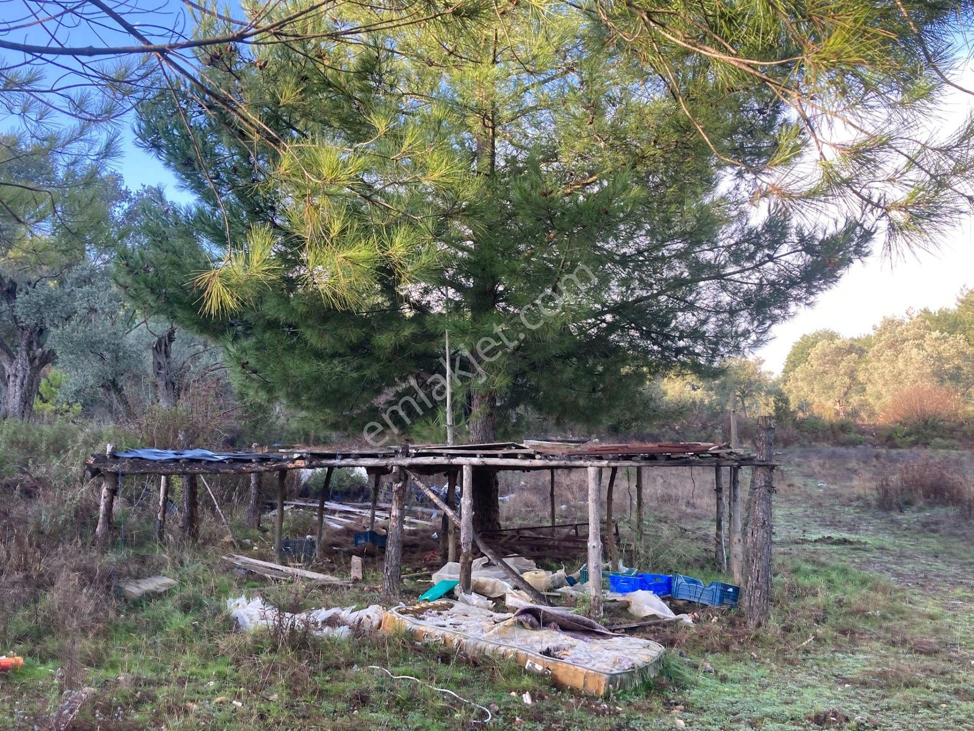Milas Tuzabat’ta Geleceğe Değer Katan Yatırımlık Tarla - Görsel 24
