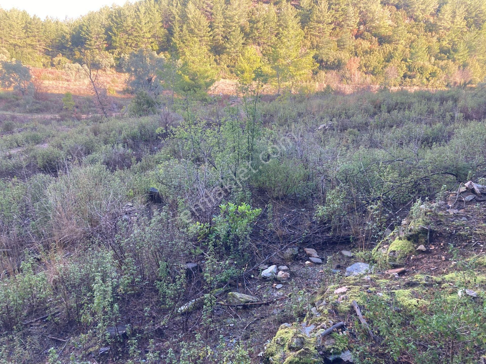 Milas Tuzabat’ta Geleceğe Değer Katan Yatırımlık Tarla - Görsel 11