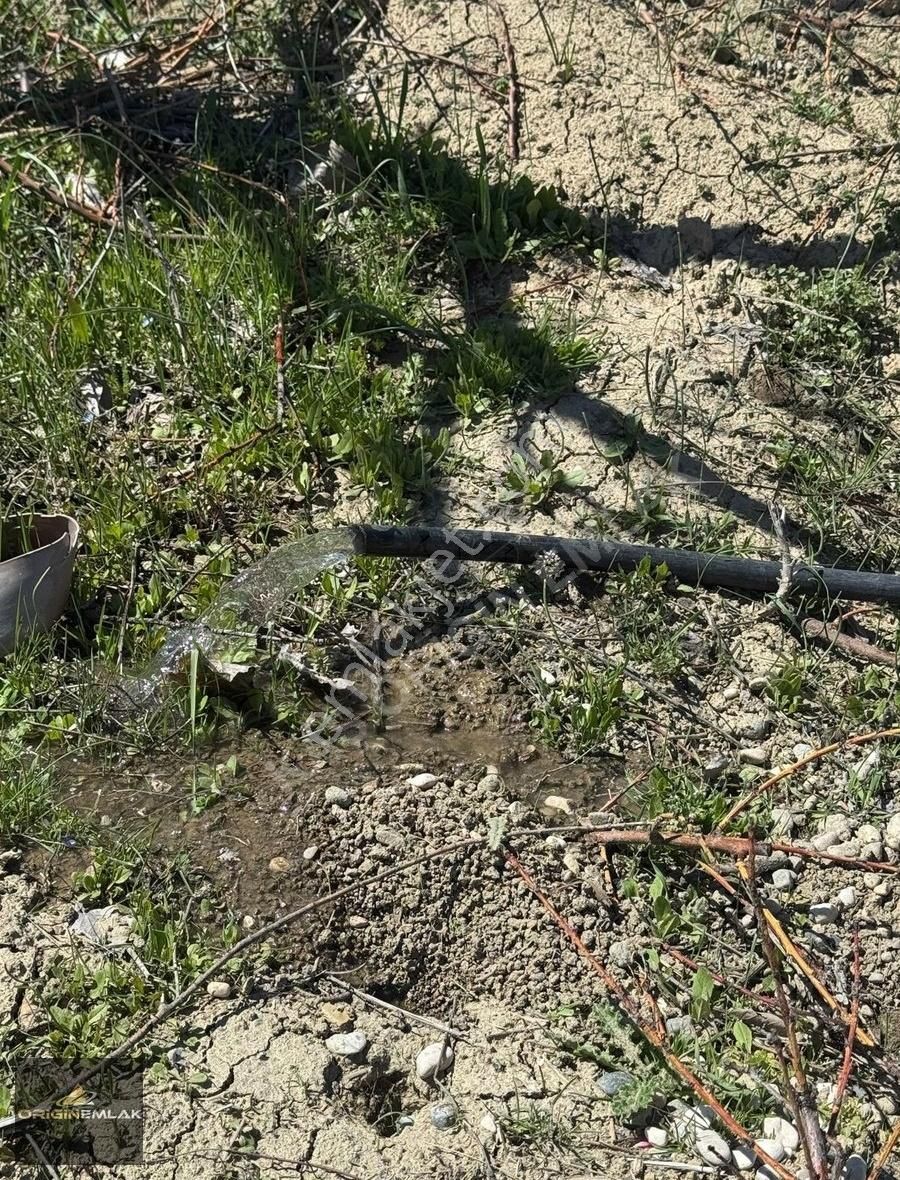 Elmalı Akçay'da 6300 M2 Şeftali Bahçesi Ev Ve Su Motoru - Görsel 12