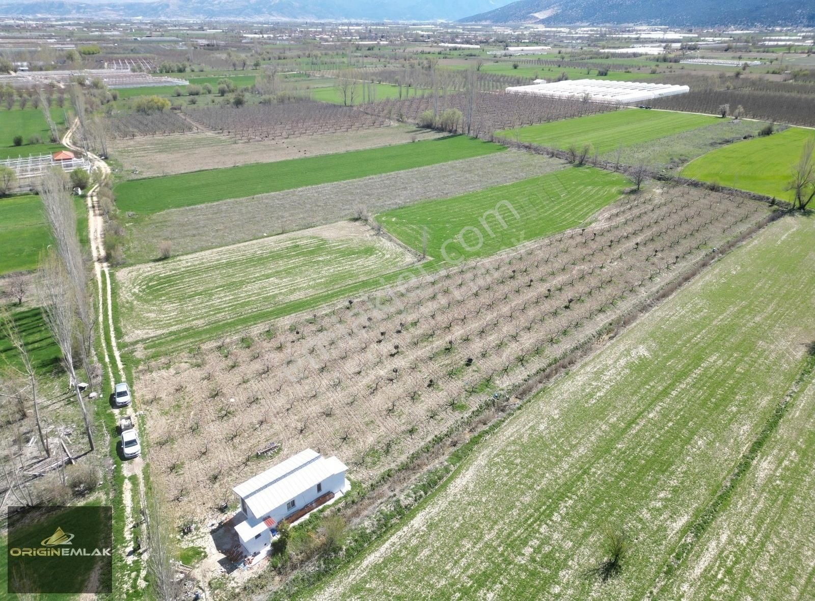 Elmalı Akçay'da 6300 M2 Şeftali Bahçesi Ev Ve Su Motoru - Görsel 16