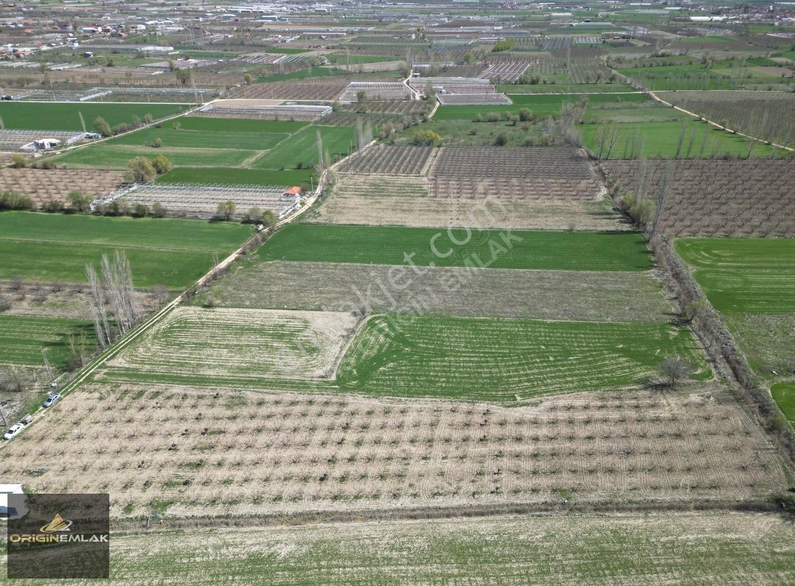 Elmalı Akçay'da 6300 M2 Şeftali Bahçesi Ev Ve Su Motoru - Görsel 21