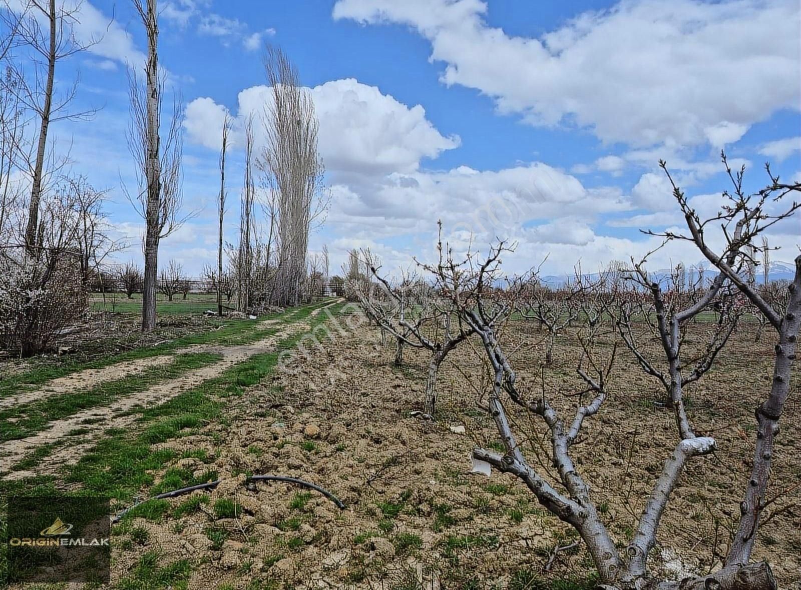 Elmalı Akçay'da 6300 M2 Şeftali Bahçesi Ev Ve Su Motoru - Görsel 9