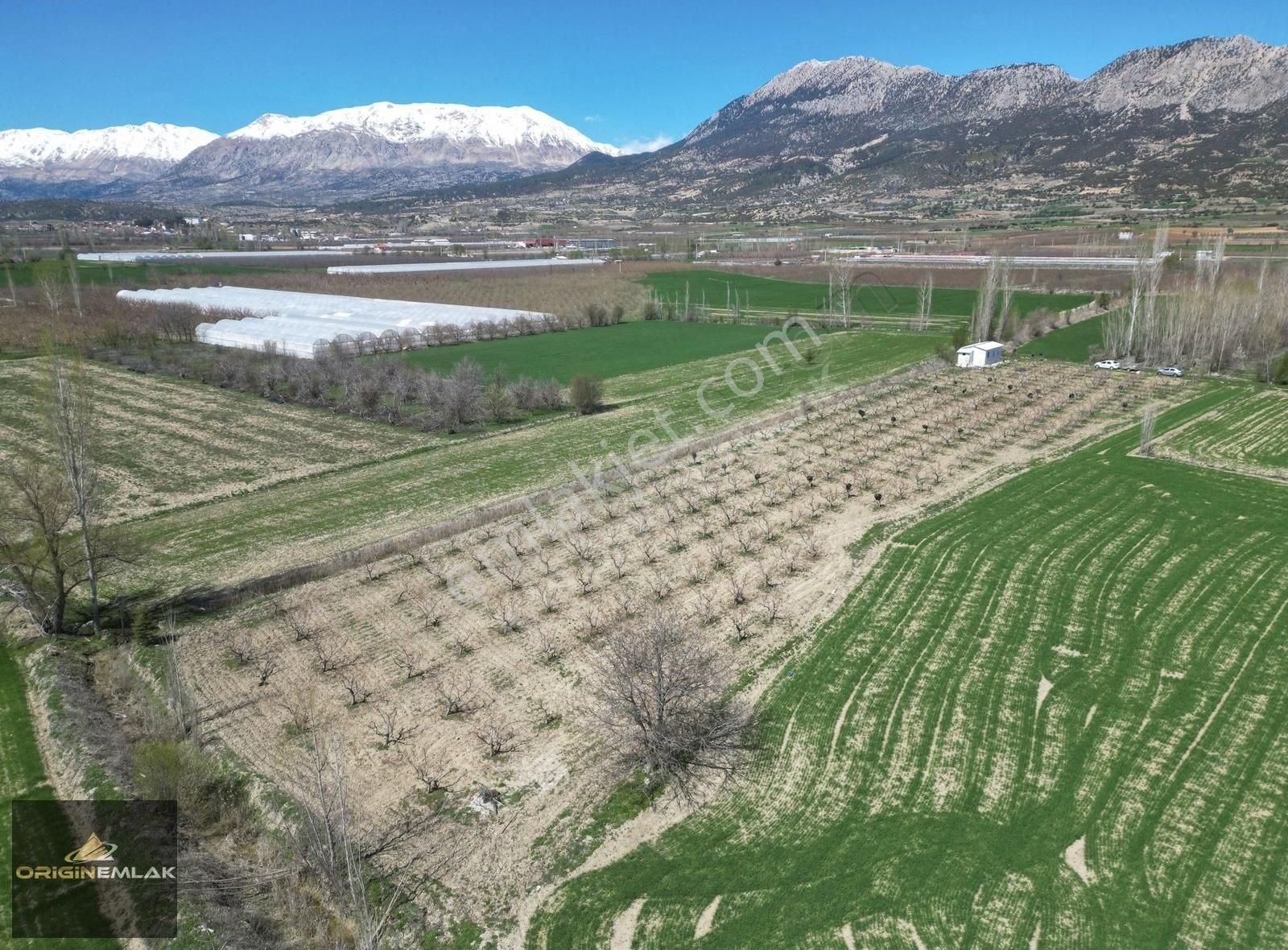 Elmalı Akçay'da 6300 M2 Şeftali Bahçesi Ev Ve Su Motoru - Görsel 6