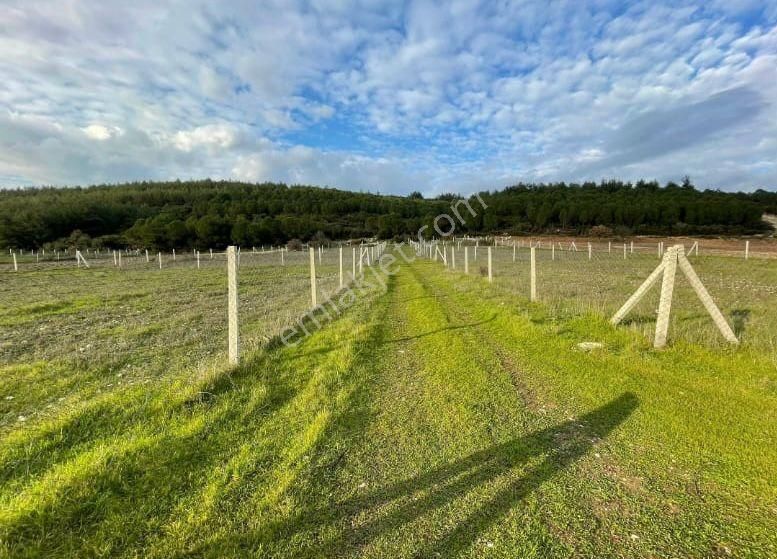 Acill Buca Karaağaçda 880m2 Resmi Hisse Tapulu Etrafı Çevrili Satılık Tarla(arsa) - Görsel 4