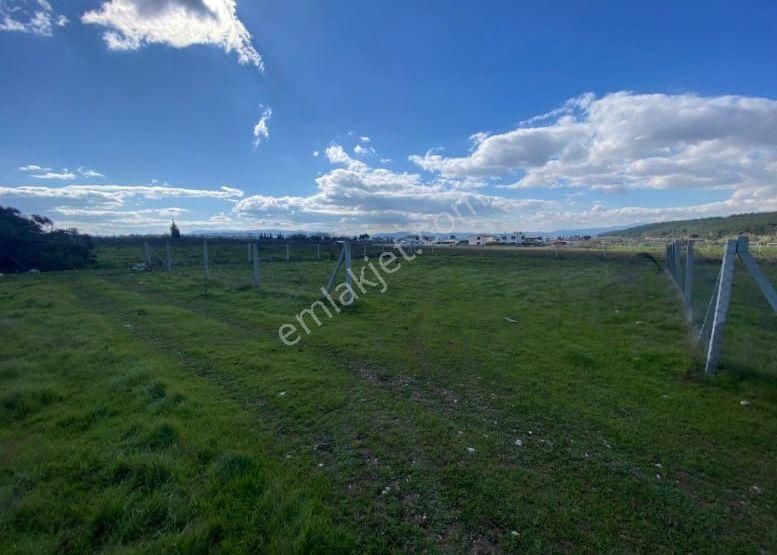 Acill Buca Karaağaçda 880m2 Resmi Hisse Tapulu Etrafı Çevrili Satılık Tarla(arsa) - Görsel 8