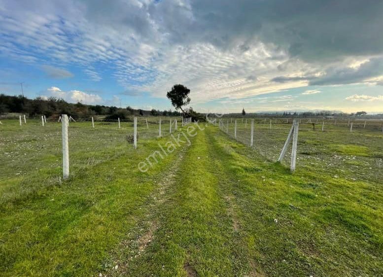 Acill Buca Karaağaçda 880m2 Resmi Hisse Tapulu Etrafı Çevrili Satılık Tarla(arsa) - Görsel 2