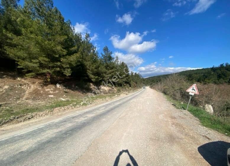 Acill Buca Karaağaçda 880m2 Resmi Hisse Tapulu Etrafı Çevrili Satılık Tarla(arsa) - Görsel 11